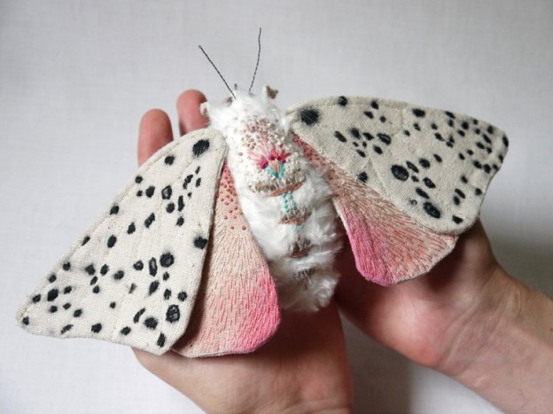 Palm-Sized Moths That Won’t Give You the Heebie Jeebies, I Promise ...