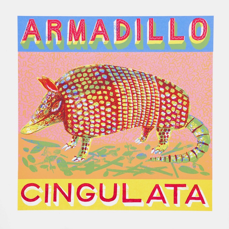 A is for Armadillo who is short stout and round.