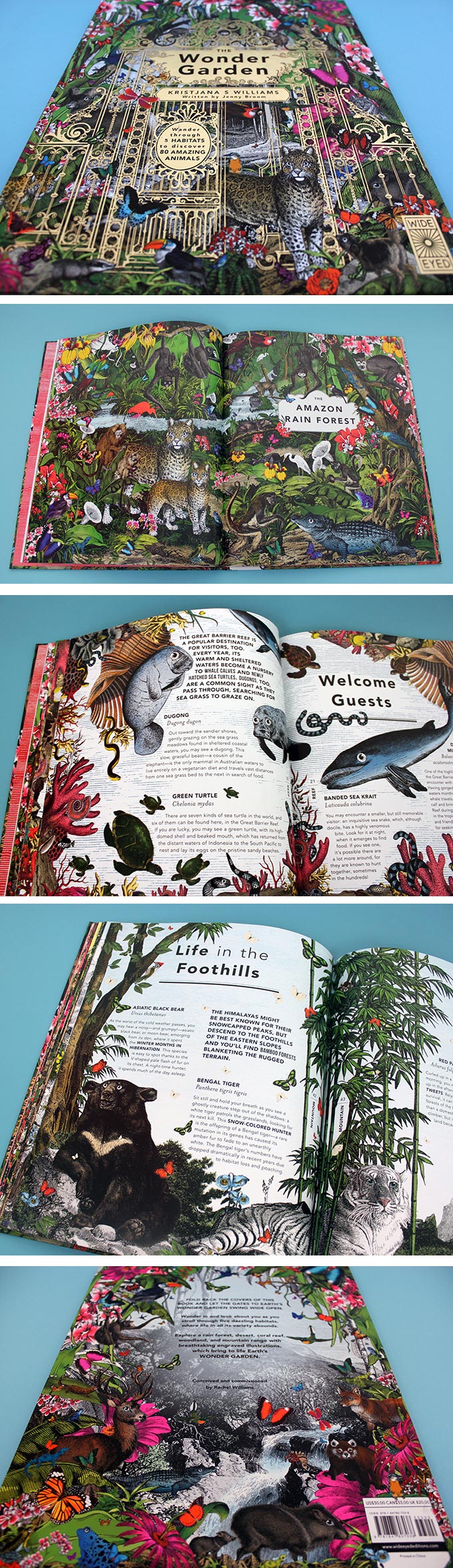 The Wonder Garden by Jenny Broom and illustrated by Kristjana S Williams