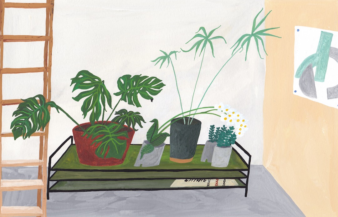 Illustrated interiors by Liz Rowland