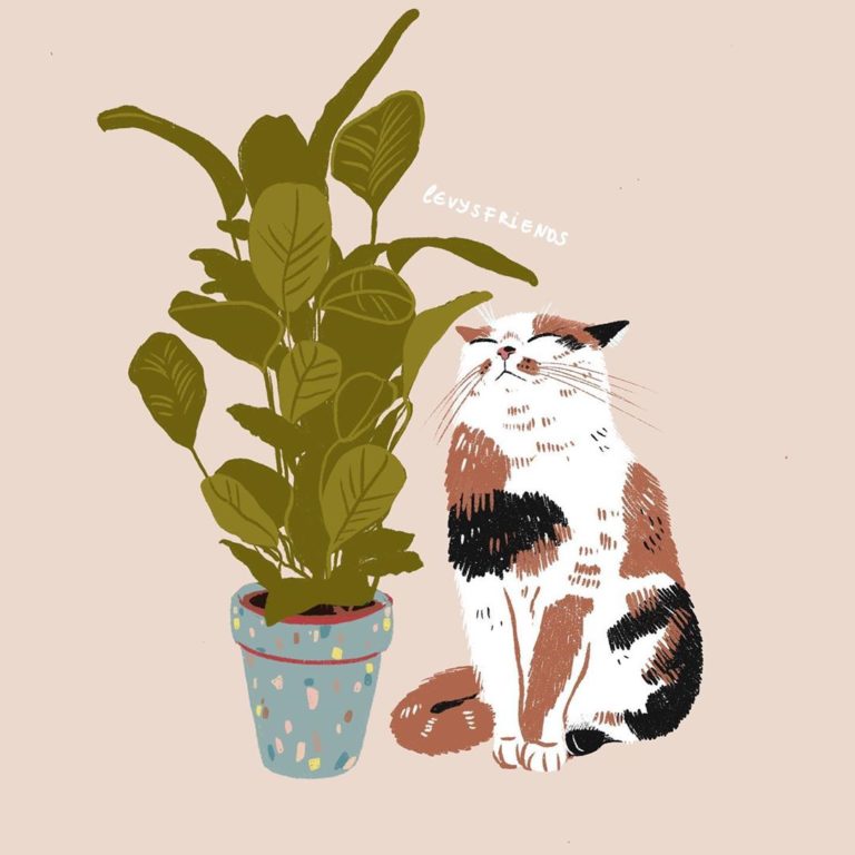 15 Inspiring Illustrators To Follow On Instagram - Brown Paper Bag