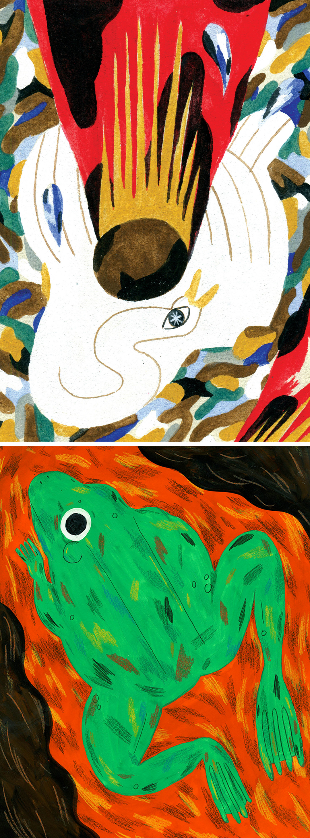 Illustrations by Molly Fairhurst