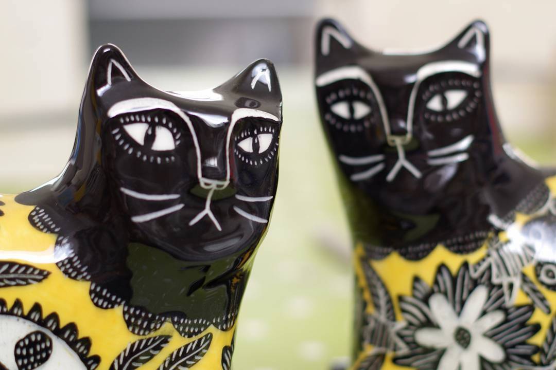 Vicky Lindo Staffordshire Cats