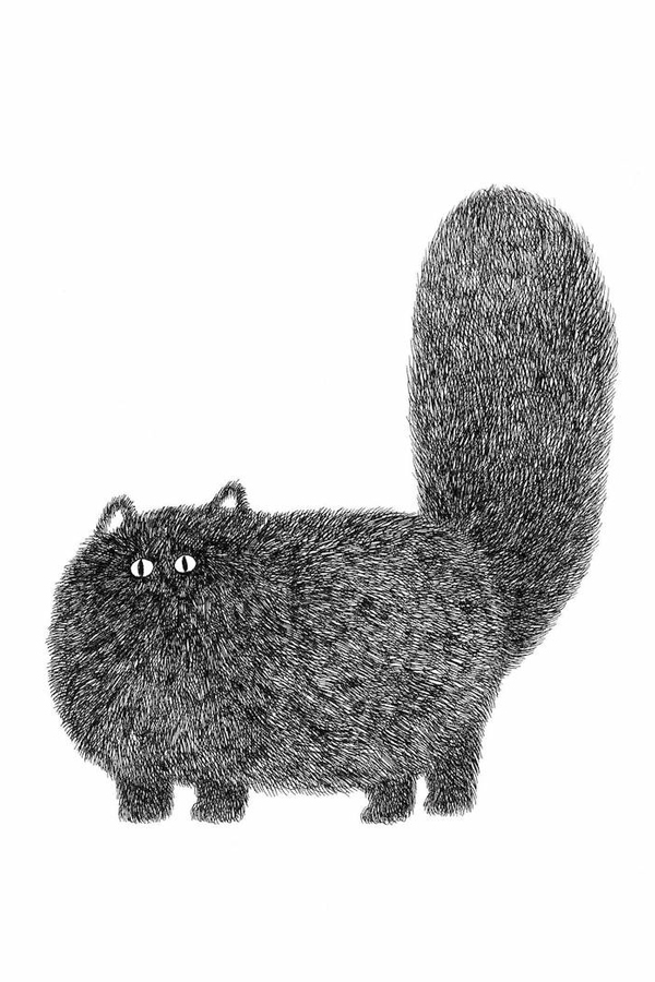 Fluffy kitty cat illustrations by Kamwei Fong