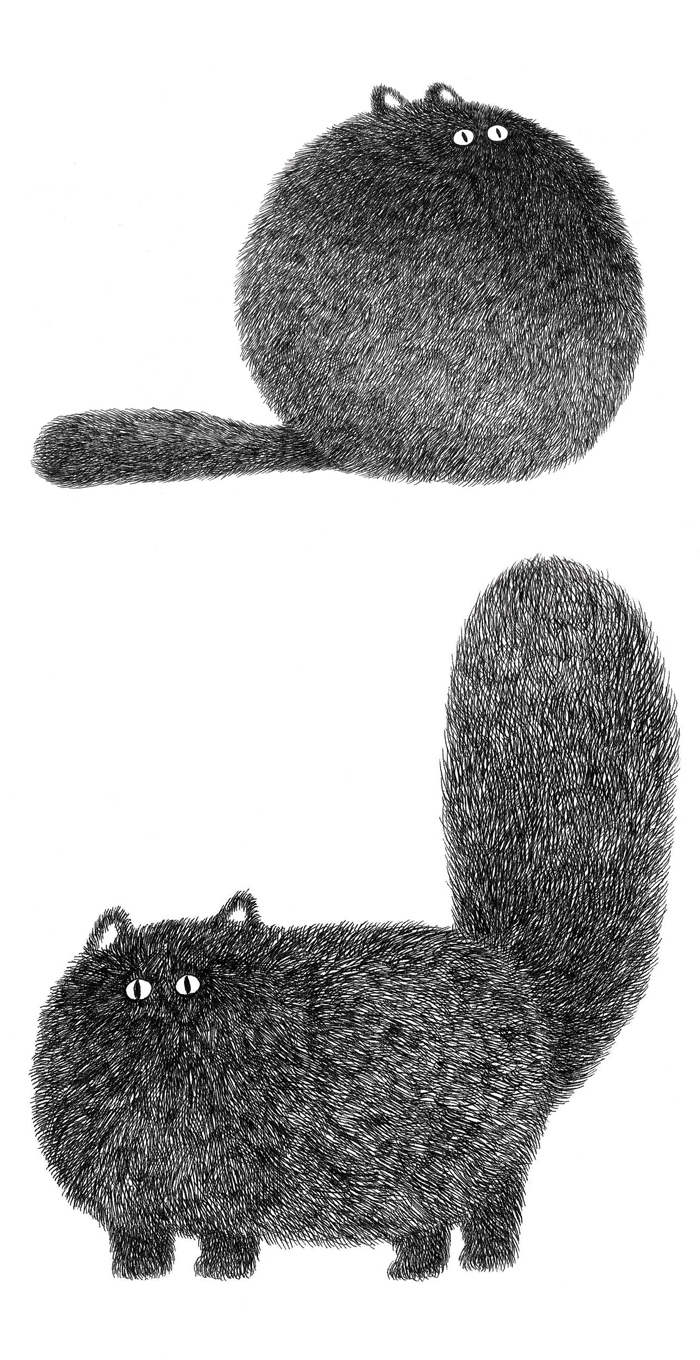 Fluffy cat illustration by Kamwei Fong