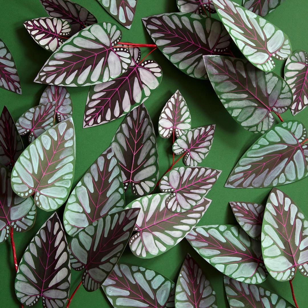 Paper plants crafted by Corrie Beth Hogg