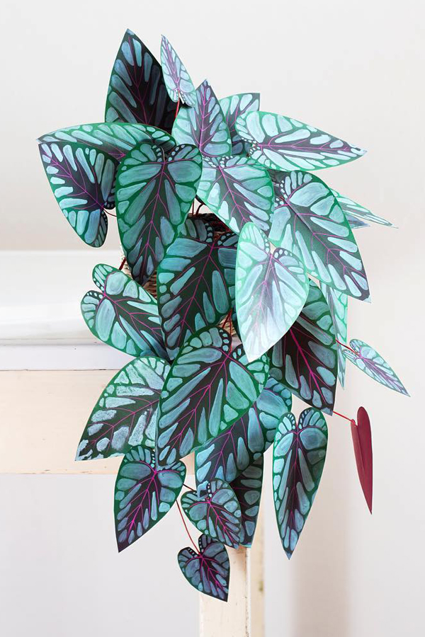 Paper plant crafted by Corrie Beth Hogg