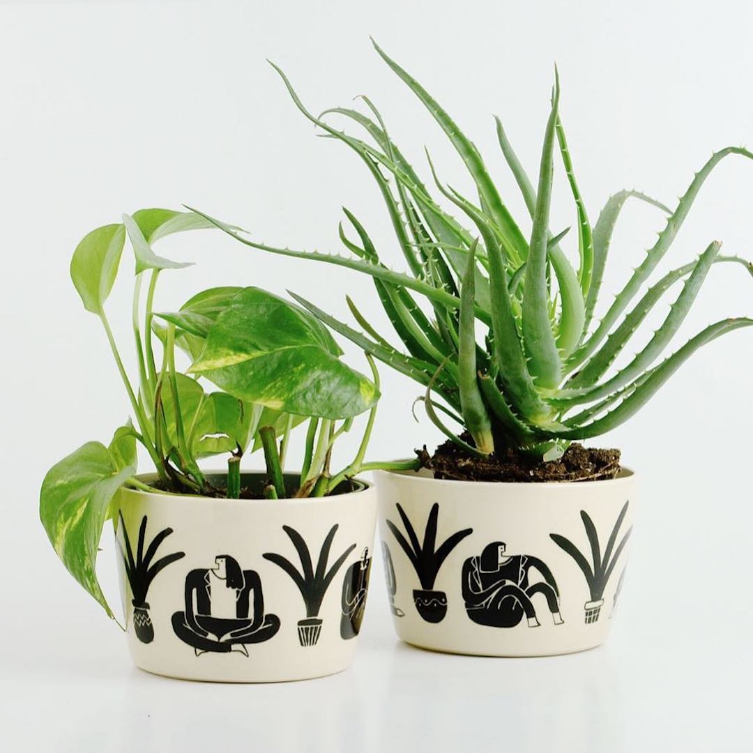 Black and white ceramics by Miri Orenstein