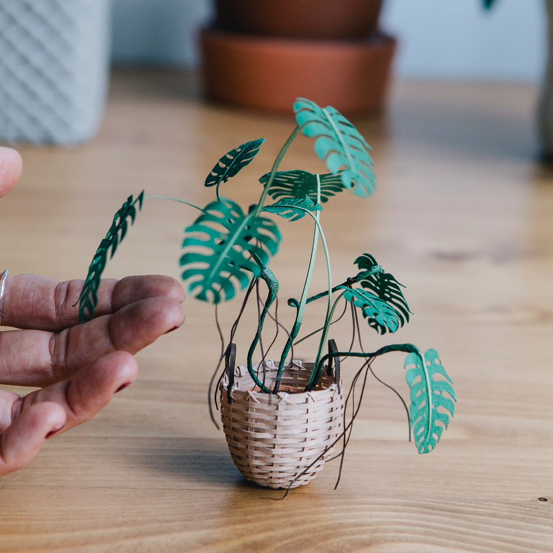 Paper plants by Raya Sader Bujana