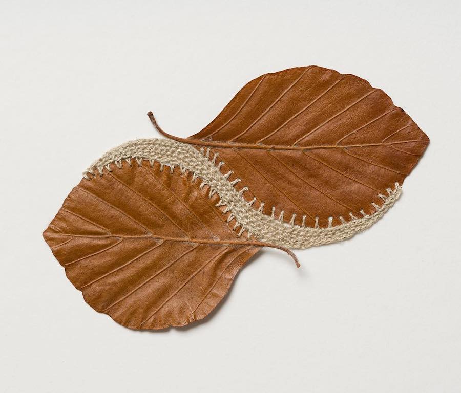 Leaf art by Susanna Bauer