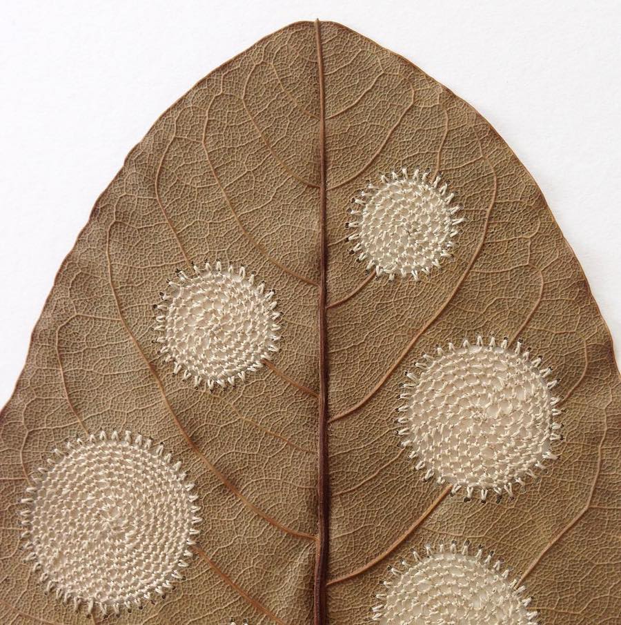 Leaf art by Susanna Bauer