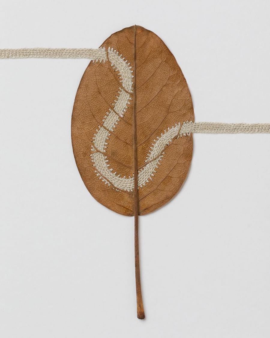 Leaf art by Susanna Bauer