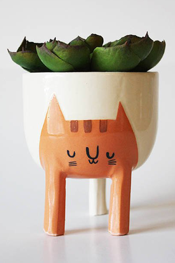 Cat planter