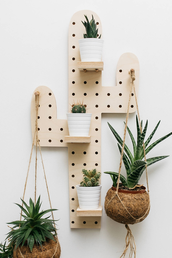 Cactus pegboard