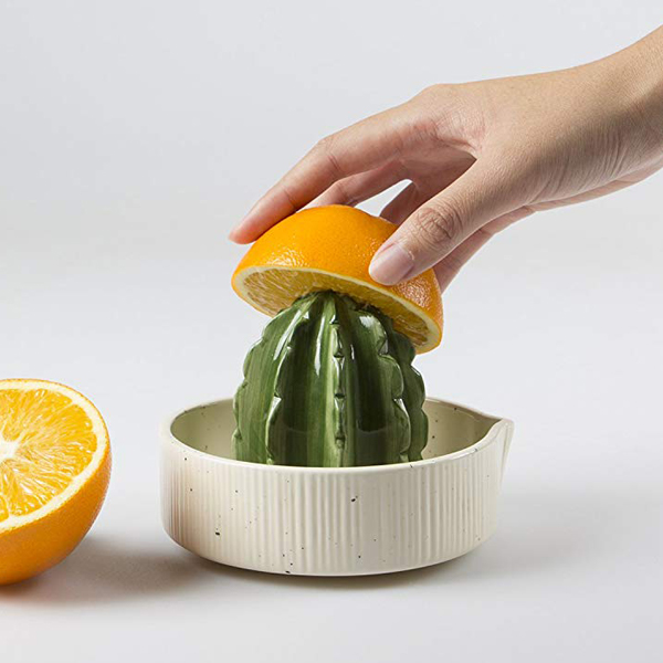 Ceramic cactus juicer