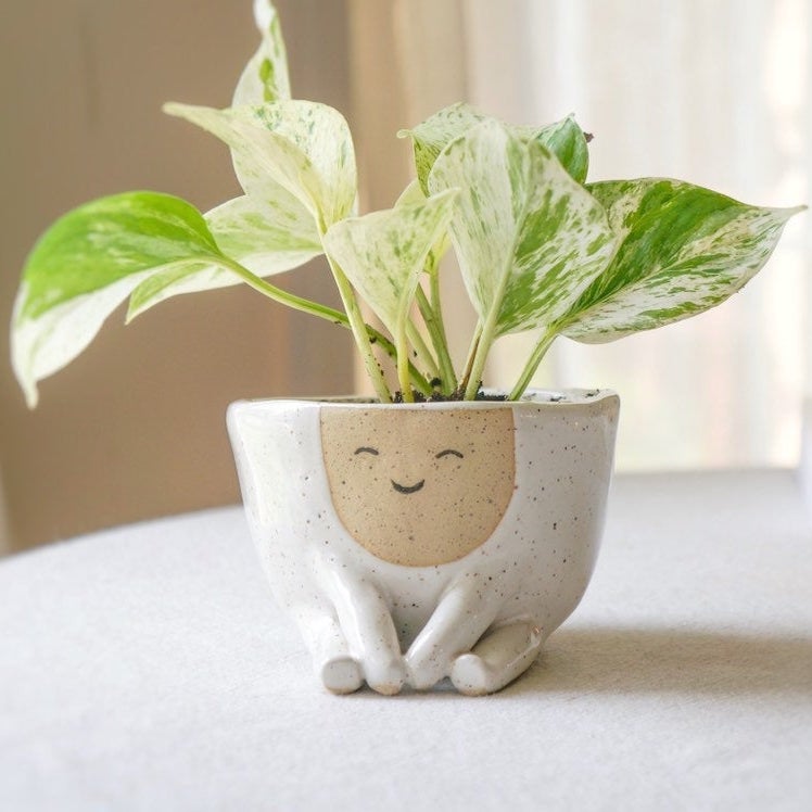 Ceramic planter