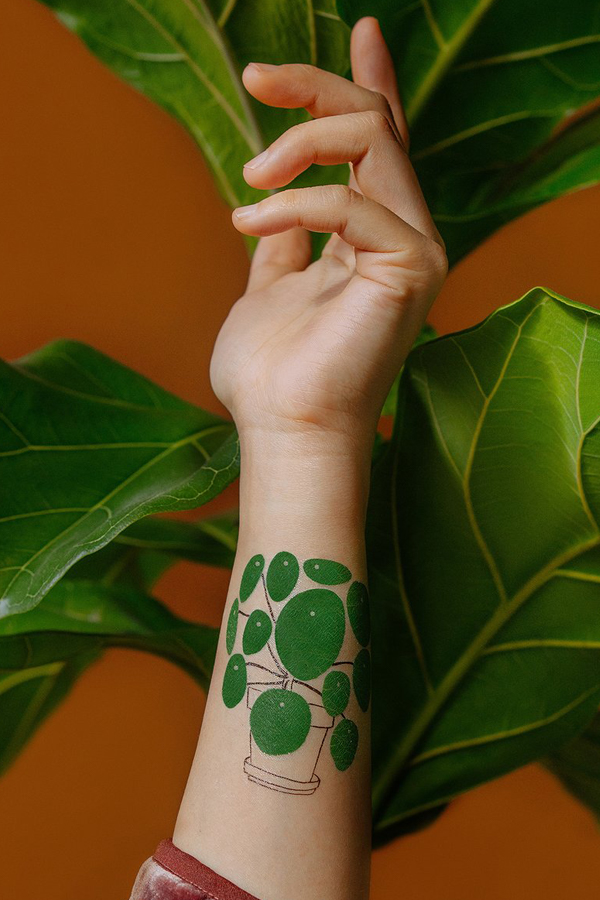 Pilea plant temporary tattoo