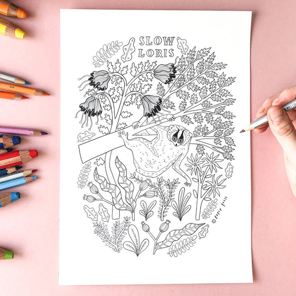 Slow Loris printable coloring page