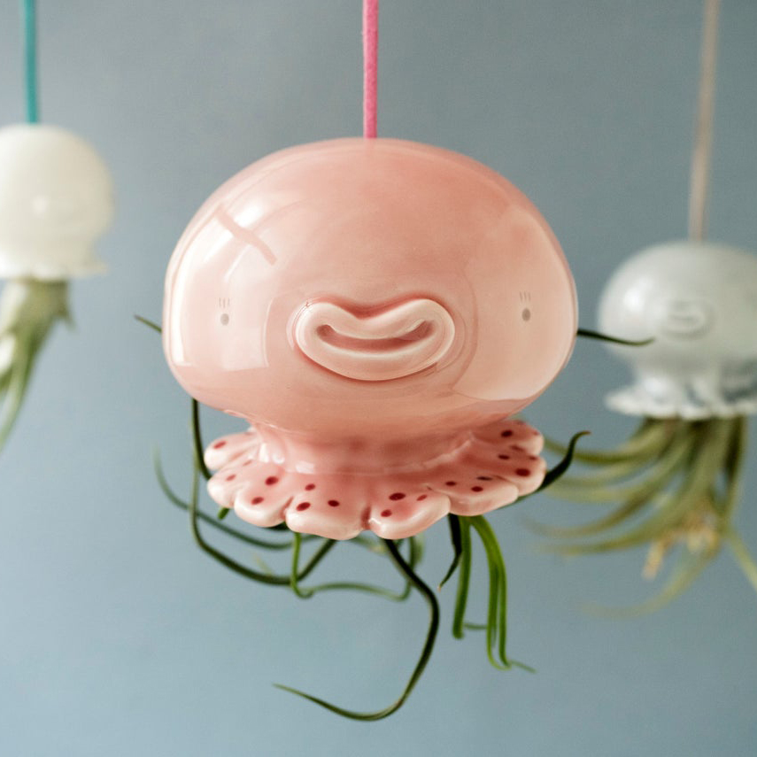 Jellyfish air plant holder