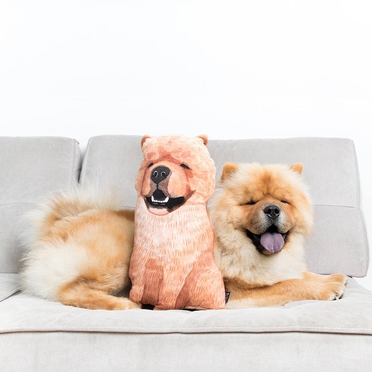 dog cuddle pillow