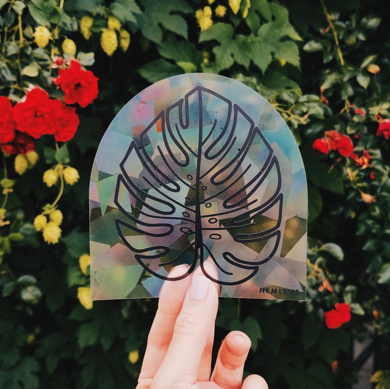 Monstera Sun Catcher