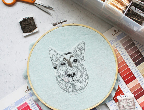 Pet portrait embroidery with DMC Thread Card