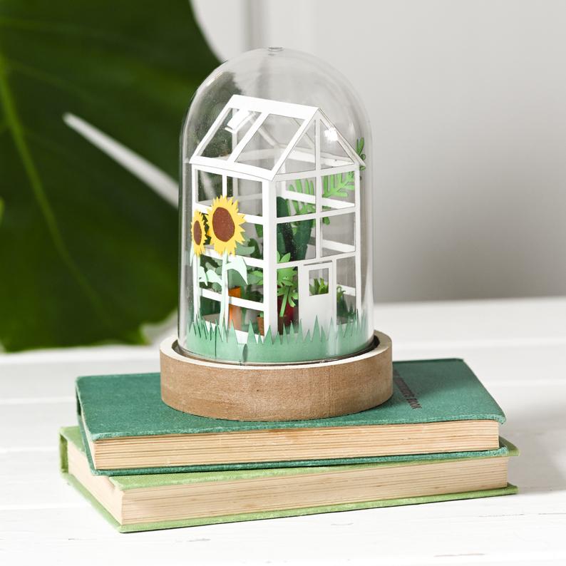 Paper terrarium DIY kit