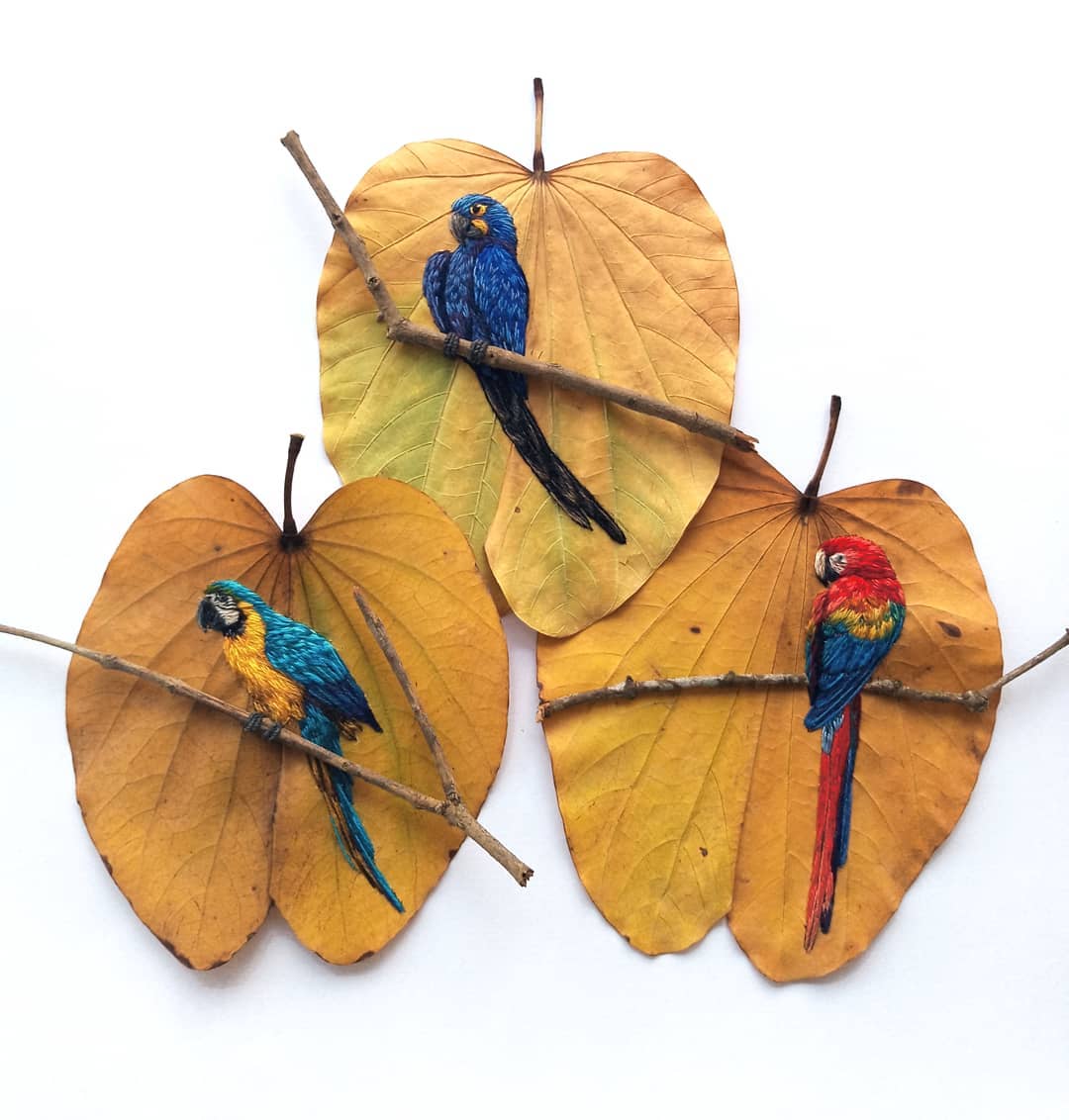 Embroidery on leaves Laura Dalla Vecchia