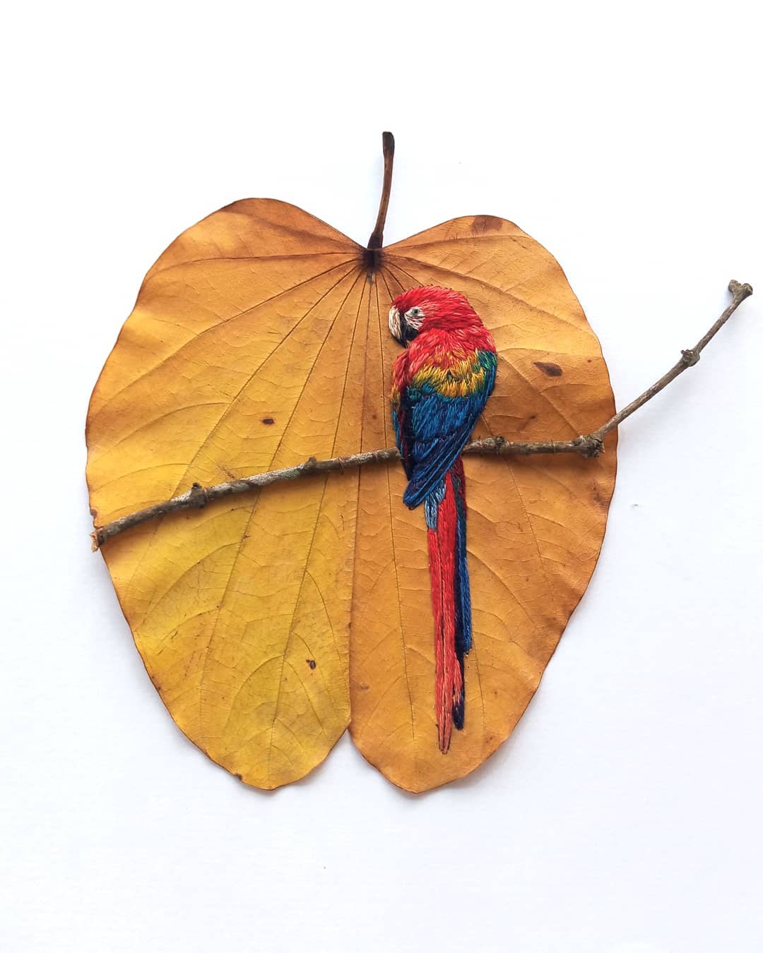 Embroidery on leaves Laura Dalla Vecchia