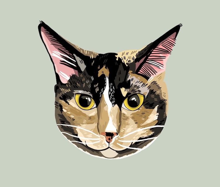 Digital pet portrait of a cat illustrated by Sara Barnes / Brown Paper Stitch