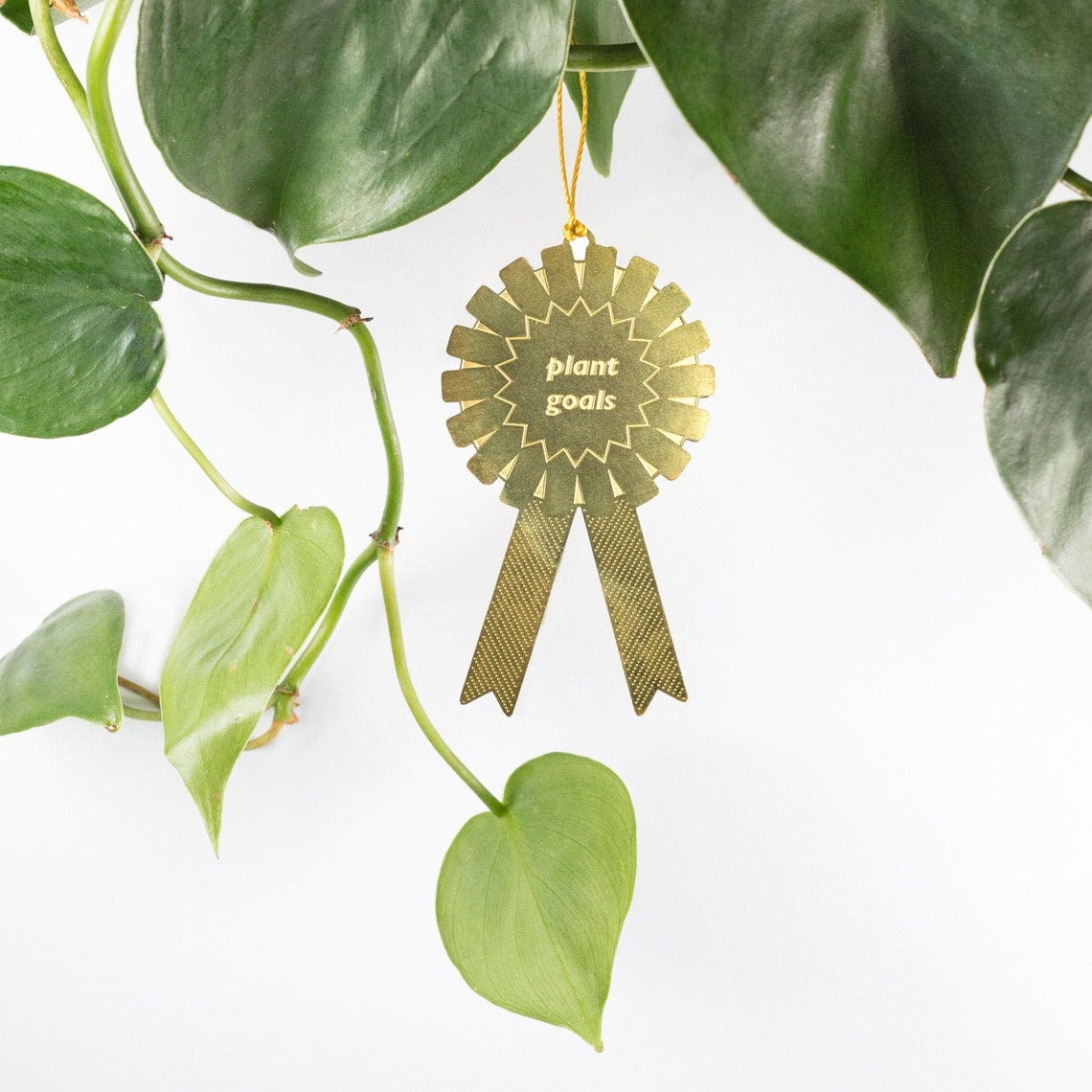 Houseplant award 