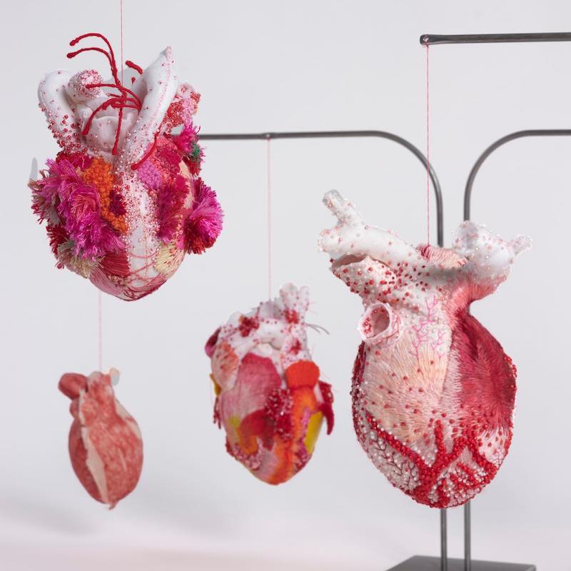 Anatomical Heart Textile Sculptures is Dedicated to Recognizing Women