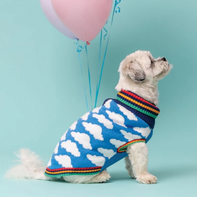 Cloud dog sweater