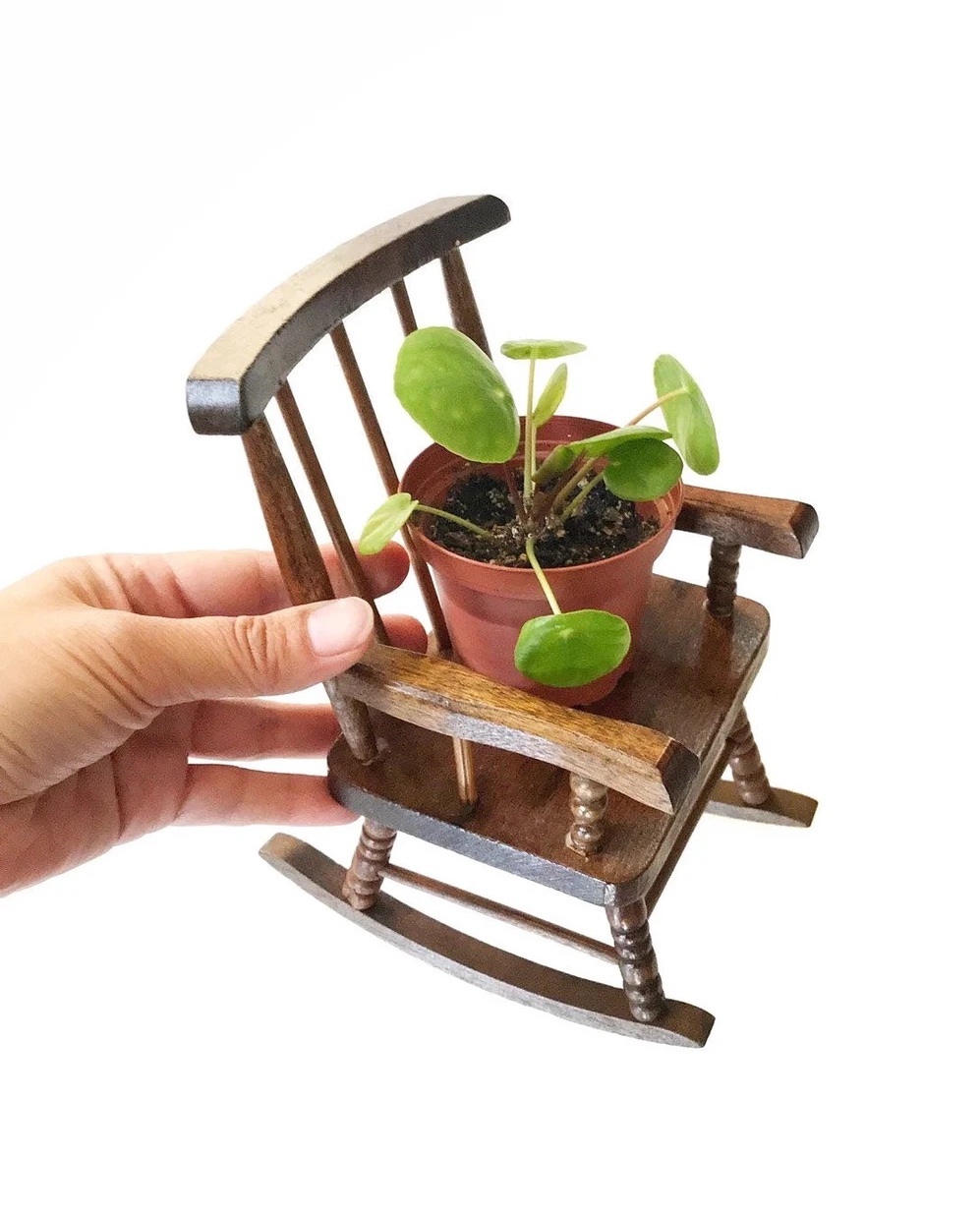 Dollhouse chair for plants