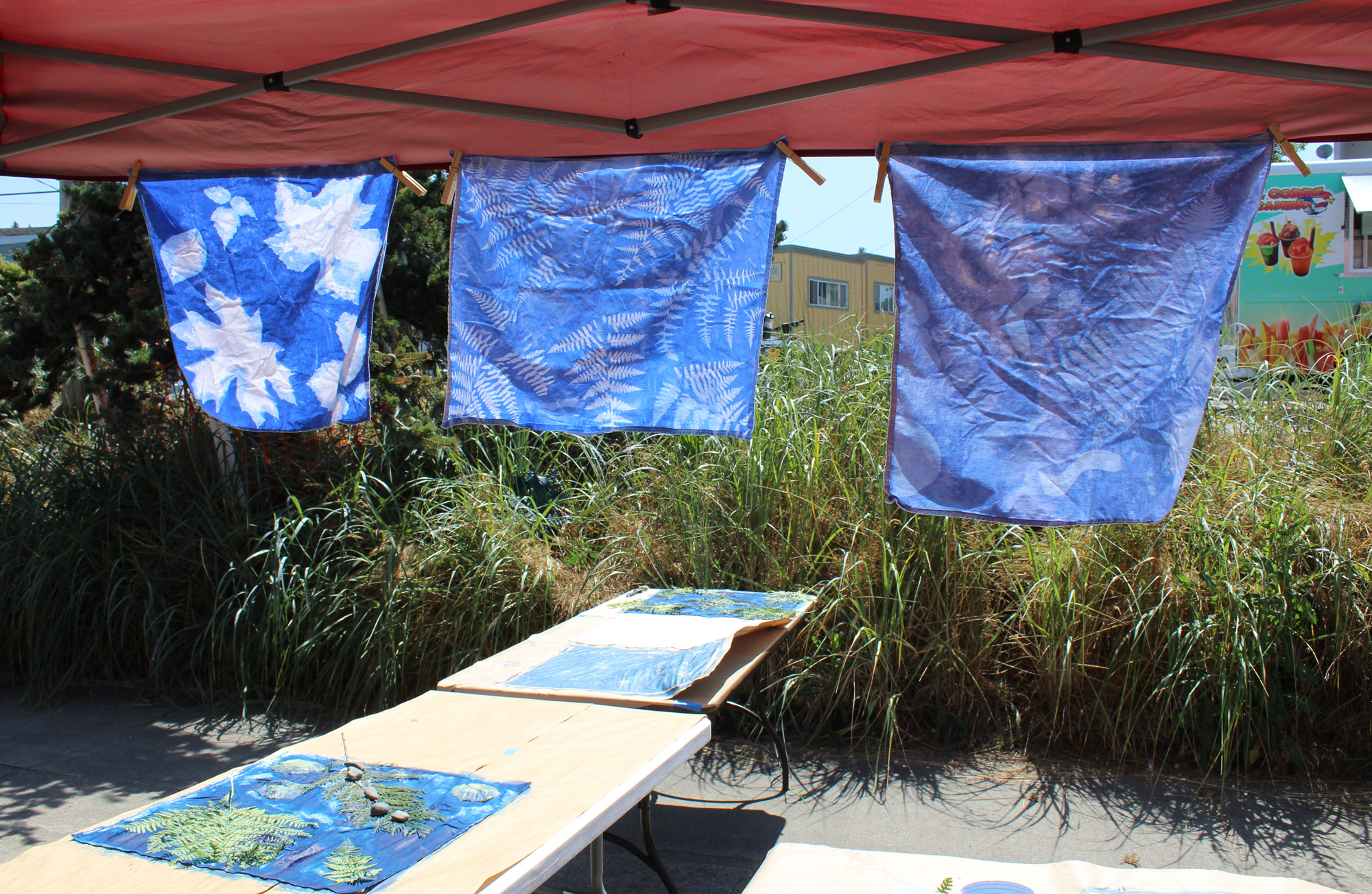 Cyanotype prints blow in wind