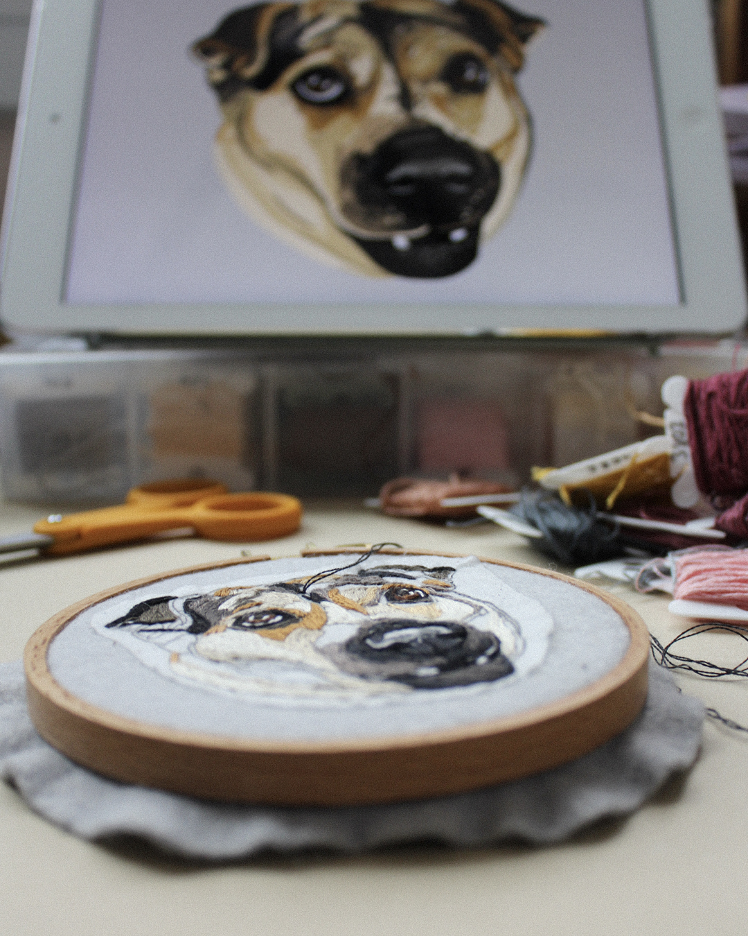 Custom pet portrait embroidery in a hoop in a foreground and a digital drawing in the back